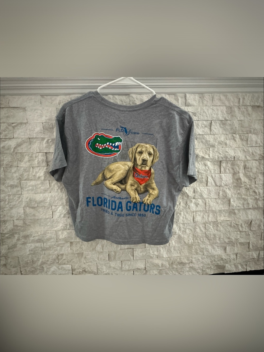 Florida Gators Flo Grown Women’s Graphic cropped Tee in Gray NWOT